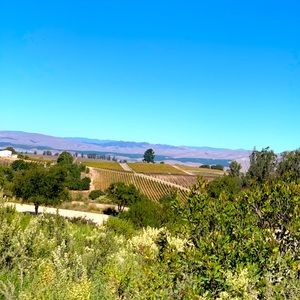 Meet your Posher, Guillermo